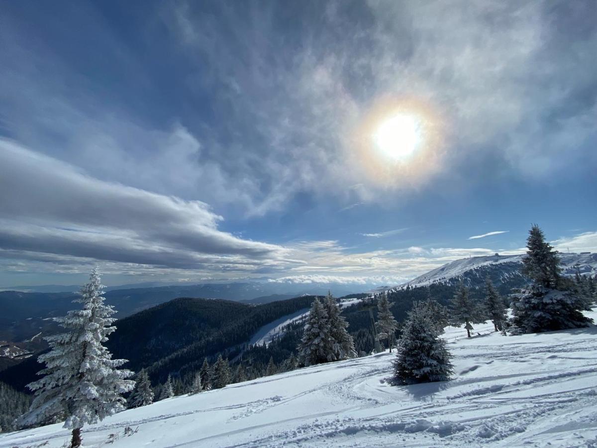 Ski & Spa Apartment S20 Milmari Resort Kopaonik Eksteriør billede