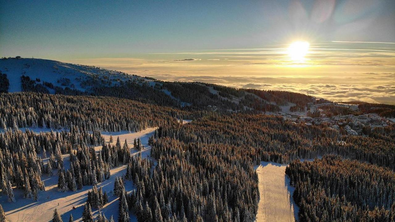 Ski & Spa Apartment S20 Milmari Resort Kopaonik Eksteriør billede