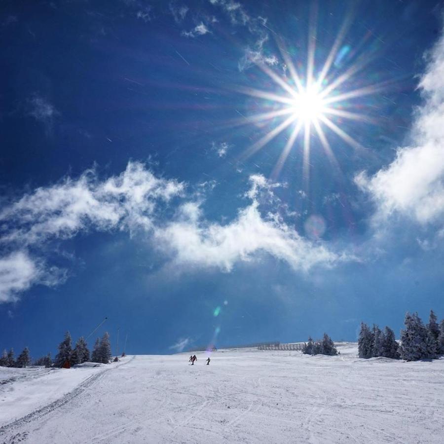 Ski & Spa Apartment S20 Milmari Resort Kopaonik Eksteriør billede