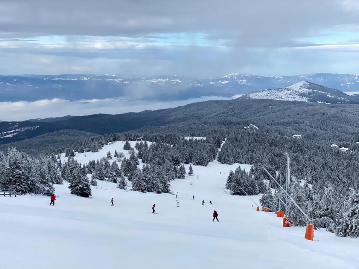Ski & Spa Apartment S20 Milmari Resort Kopaonik Eksteriør billede