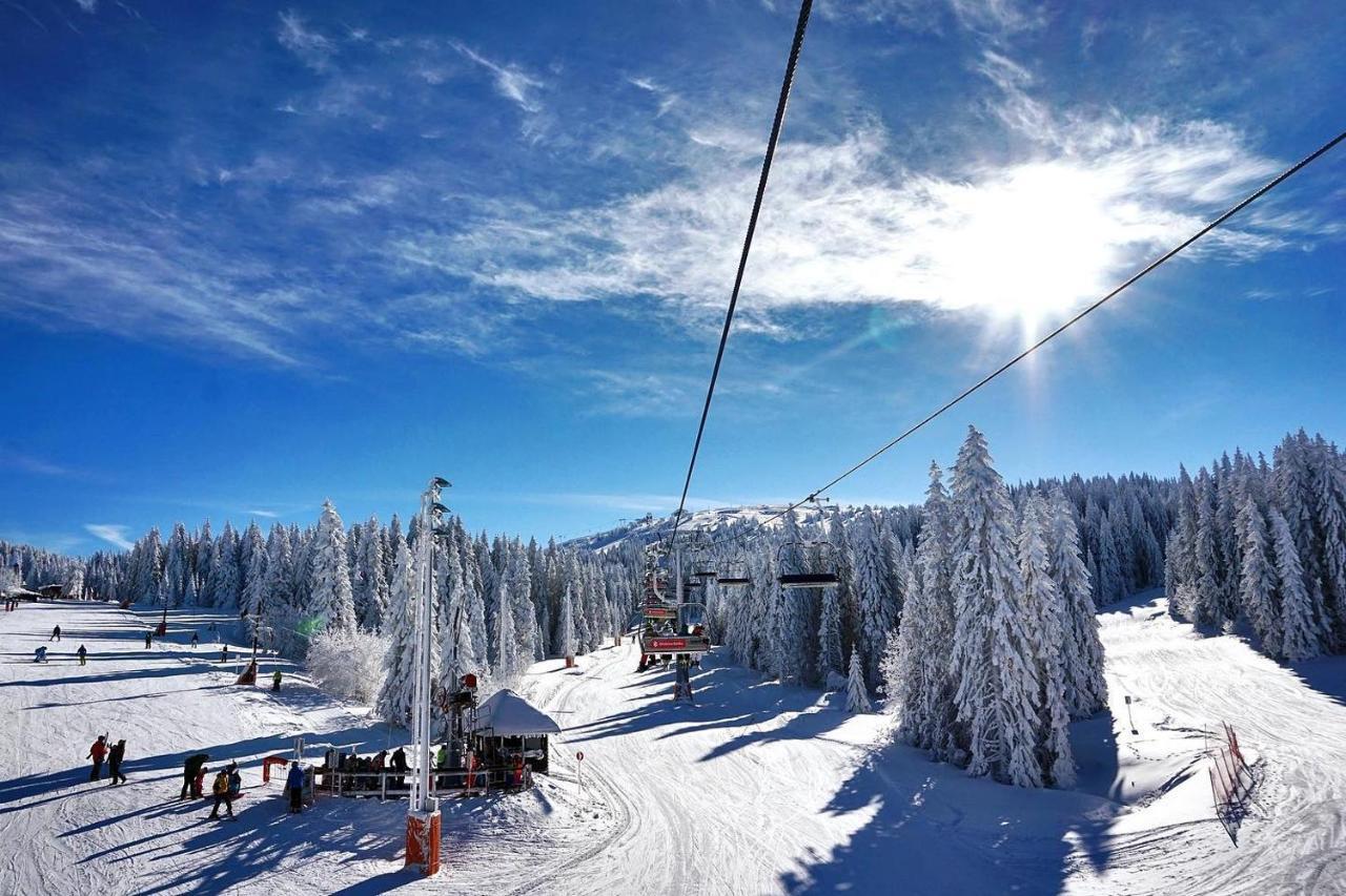 Ski & Spa Apartment S20 Milmari Resort Kopaonik Eksteriør billede